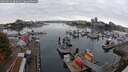 ./images/victoria/wharf/20250913/wharf20250913_084010M.jpg