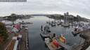 ./images/victoria/wharf/20250913/wharf20250913_085008M.jpg