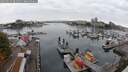 ./images/victoria/wharf/20250913/wharf20250913_091511M.jpg