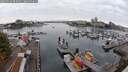 ./images/victoria/wharf/20250913/wharf20250913_092010M.jpg