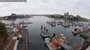 ./images/victoria/wharf/20250913/wharf20250913_093509M.jpg