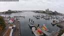 ./images/victoria/wharf/20250913/wharf20250913_095510M.jpg