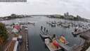 ./images/victoria/wharf/20250913/wharf20250913_100509M.jpg