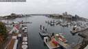 ./images/victoria/wharf/20250913/wharf20250913_112011M.jpg