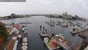 ./images/victoria/wharf/20250913/wharf20250913_113511M.jpg