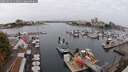 ./images/victoria/wharf/20250913/wharf20250913_114011M.jpg