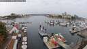 ./images/victoria/wharf/20250913/wharf20250913_115508M.jpg