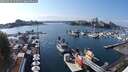 ./images/victoria/wharf/20250913/wharf20250913_152510M.jpg