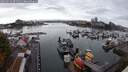 ./images/victoria/wharf/20250914/wharf20250914_091511M.jpg