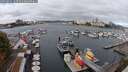 ./images/victoria/wharf/20250914/wharf20250914_123510M.jpg