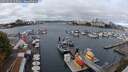 ./images/victoria/wharf/20250914/wharf20250914_124011M.jpg