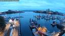 ./images/victoria/wharf/20250915/wharf20250915_063512M.jpg