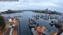 ./images/victoria/wharf/20250915/wharf20250915_064510M.jpg