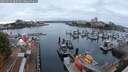 ./images/victoria/wharf/20250915/wharf20250915_065509M.jpg