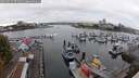 ./images/victoria/wharf/20250915/wharf20250915_073510M.jpg