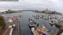 ./images/victoria/wharf/20250915/wharf20250915_075510M.jpg