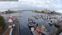 ./images/victoria/wharf/20250915/wharf20250915_082011M.jpg
