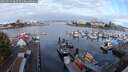 ./images/victoria/wharf/20250915/wharf20250915_082510M.jpg