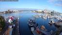 ./images/victoria/wharf/20250915/wharf20250915_085008M.jpg
