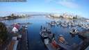 ./images/victoria/wharf/20250915/wharf20250915_085511M.jpg