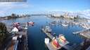 ./images/victoria/wharf/20250915/wharf20250915_105009M.jpg