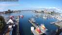 ./images/victoria/wharf/20250915/wharf20250915_105509M.jpg