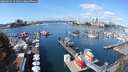 ./images/victoria/wharf/20250915/wharf20250915_121011M.jpg