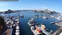 ./images/victoria/wharf/20250915/wharf20250915_132511M.jpg