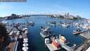 ./images/victoria/wharf/20250915/wharf20250915_133010M.jpg