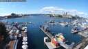./images/victoria/wharf/20250917/wharf20250917_133010M.jpg