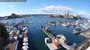 ./images/victoria/wharf/20250917/wharf20250917_140012M.jpg