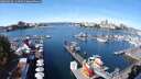 ./images/victoria/wharf/20250920/wharf20250920_114501M.jpg