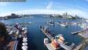 ./images/victoria/wharf/20250920/wharf20250920_131501M.jpg
