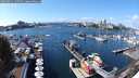 ./images/victoria/wharf/20250921/wharf20250921_135501M.jpg