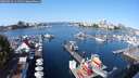 ./images/victoria/wharf/20250923/wharf20250923_111501M.jpg