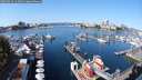 ./images/victoria/wharf/20250923/wharf20250923_114001M.jpg