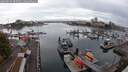 ./images/victoria/wharf/20250926/wharf20250926_085001M.jpg