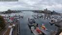 ./images/victoria/wharf/20251003/wharf20251003_184501M.jpg