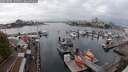 ./images/victoria/wharf/20251004/wharf20251004_131501M.jpg