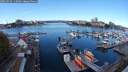./images/victoria/wharf/20251015/wharf20251015_115001M.jpg