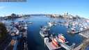 ./images/victoria/wharf/20251015/wharf20251015_122501M.jpg