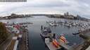 ./images/victoria/wharf/20251016/wharf20251016_111001M.jpg