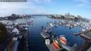 ./images/victoria/wharf/20251017/wharf20251017_111501M.jpg