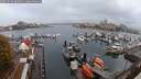 ./images/victoria/wharf/20251019/wharf20251019_080501M.jpg