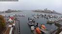 ./images/victoria/wharf/20251019/wharf20251019_081501M.jpg