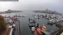 ./images/victoria/wharf/20251019/wharf20251019_082501M.jpg