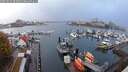 ./images/victoria/wharf/20251019/wharf20251019_083002M.jpg