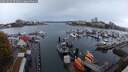 ./images/victoria/wharf/20251019/wharf20251019_091001M.jpg