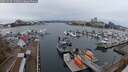 ./images/victoria/wharf/20251119/wharf20251119_135001M.jpg
