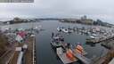 ./images/victoria/wharf/20251119/wharf20251119_140002M.jpg